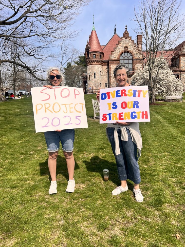 No Kings Day rally
