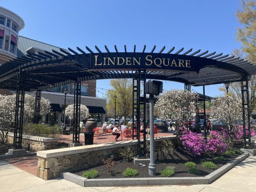 Linden Square courtyard spring