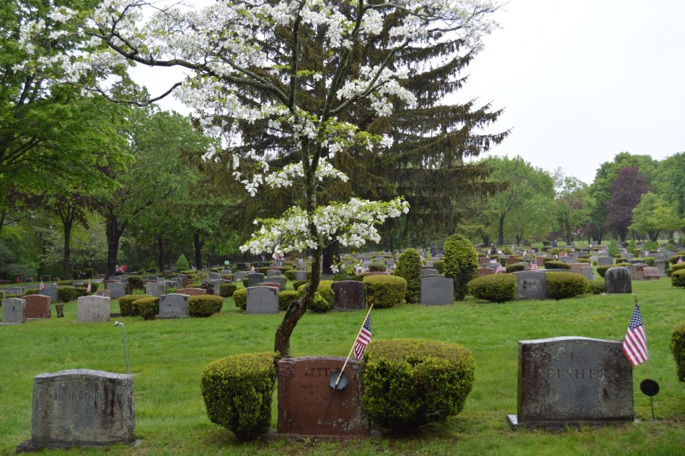 dressing of graves woodlawn cemetery