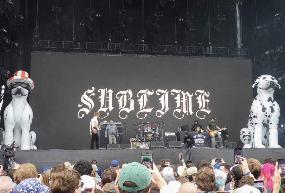 Sublime dogs at Boston Calling