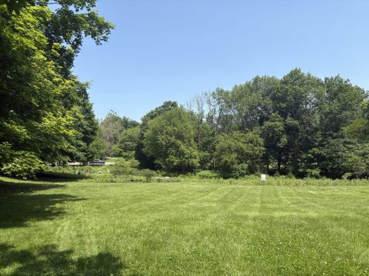 Simons Park habitat