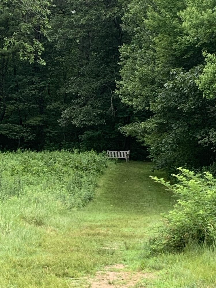Boulder Brook Reservation, Wellesley