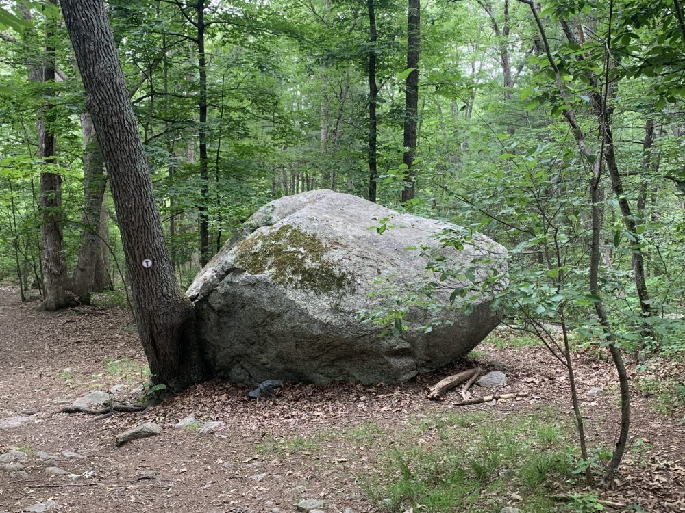 Boulder Brook Reservation, Wellesley