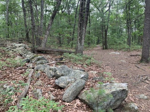 Boulder Brook Reservation, Wellesley