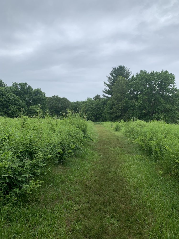 Boulder Brook Reservation