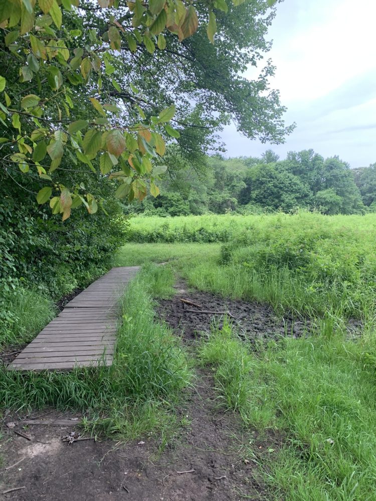 Boulder Brook Reservation