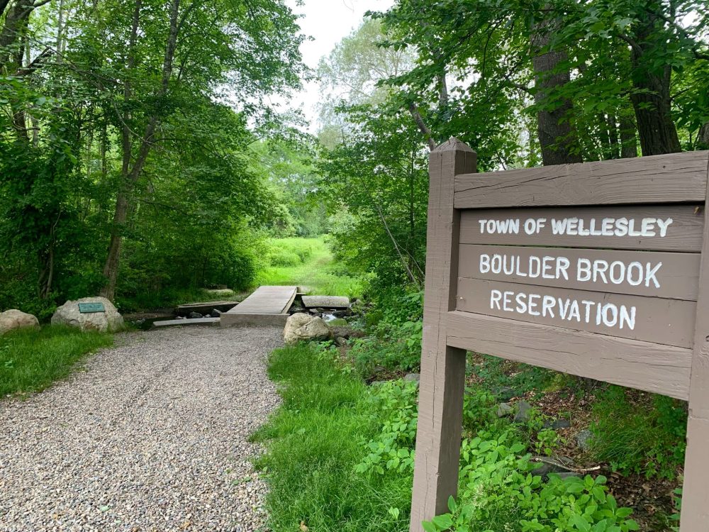 Boulder Brook Reservation, Wellesley
