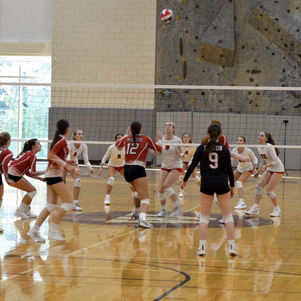 whs girls volleyball