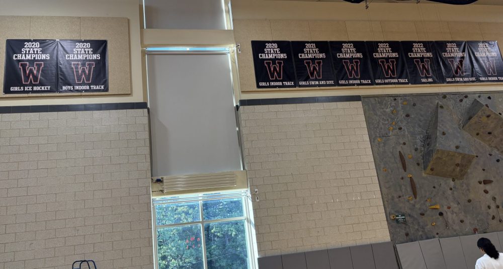 WHS sports banners in gym