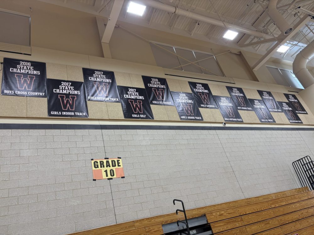 WHS sports banners in gym