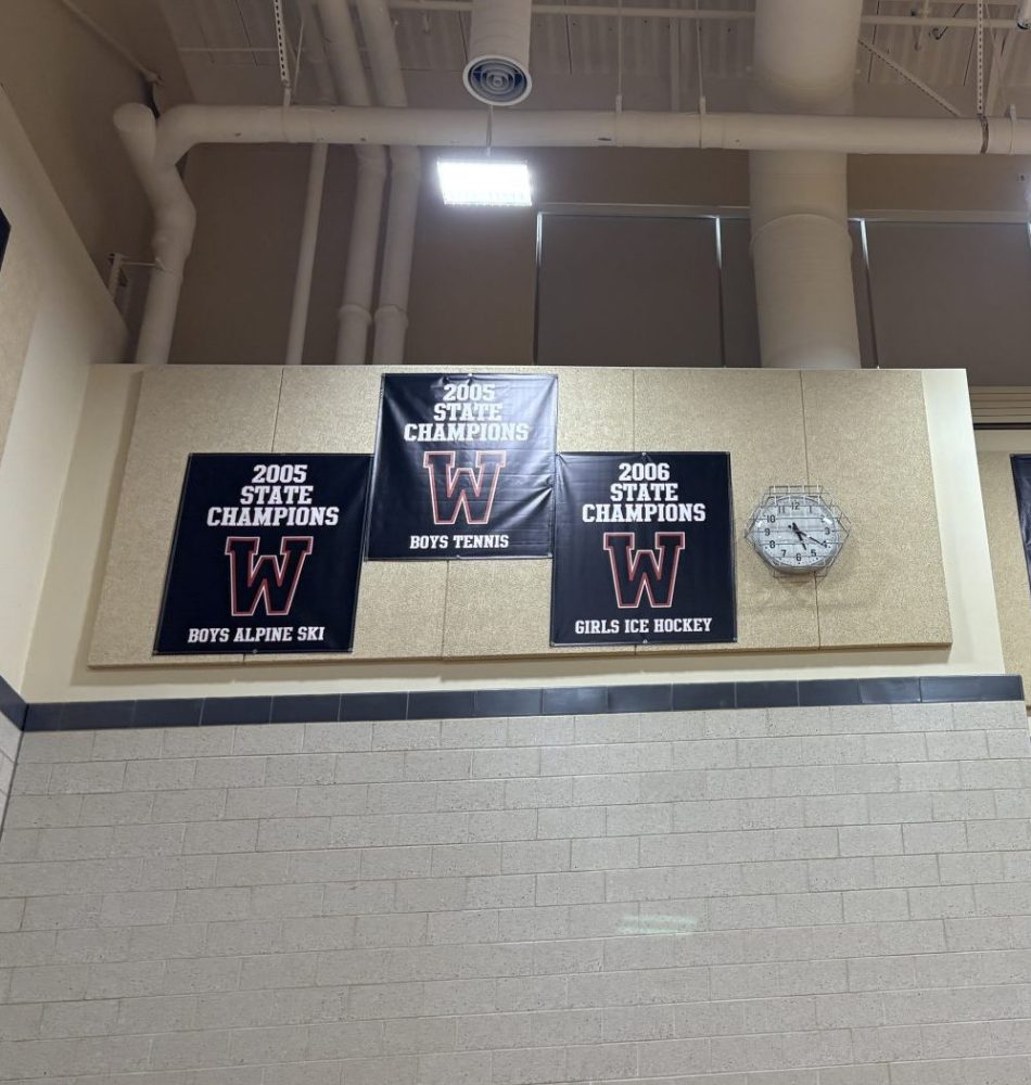 WHS sports banners in gym