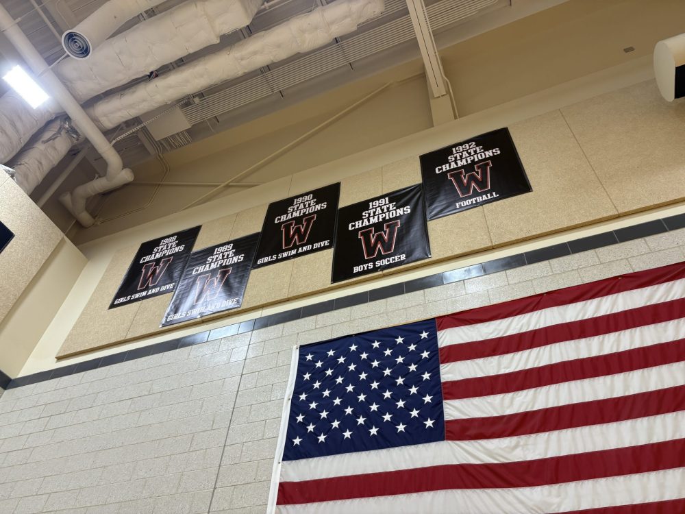 WHS sports banners in gym