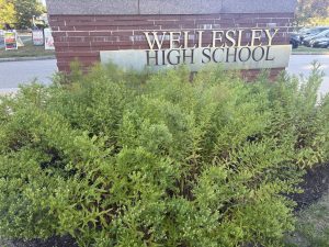 Wellesley High School fall