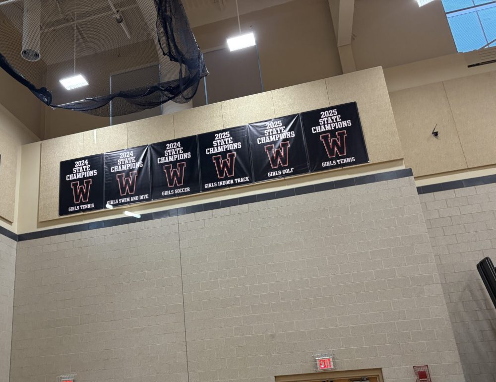 WHS sports banners in gym