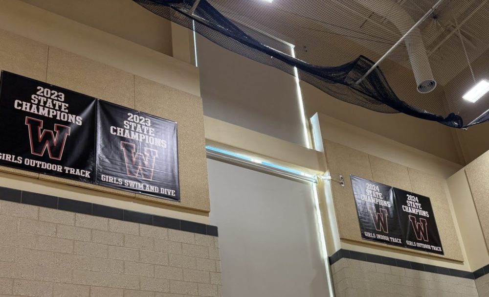 WHS gym banners