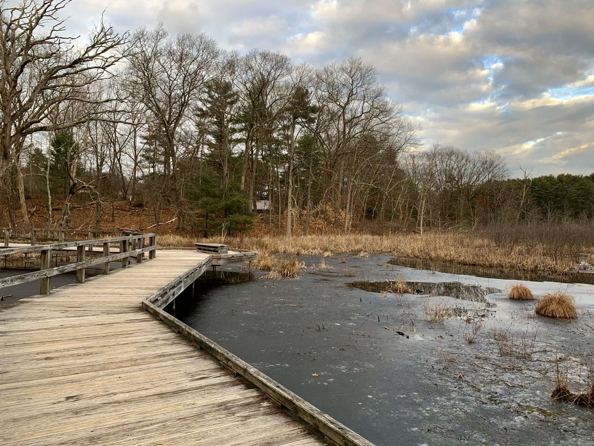 Broadmoor, Natick