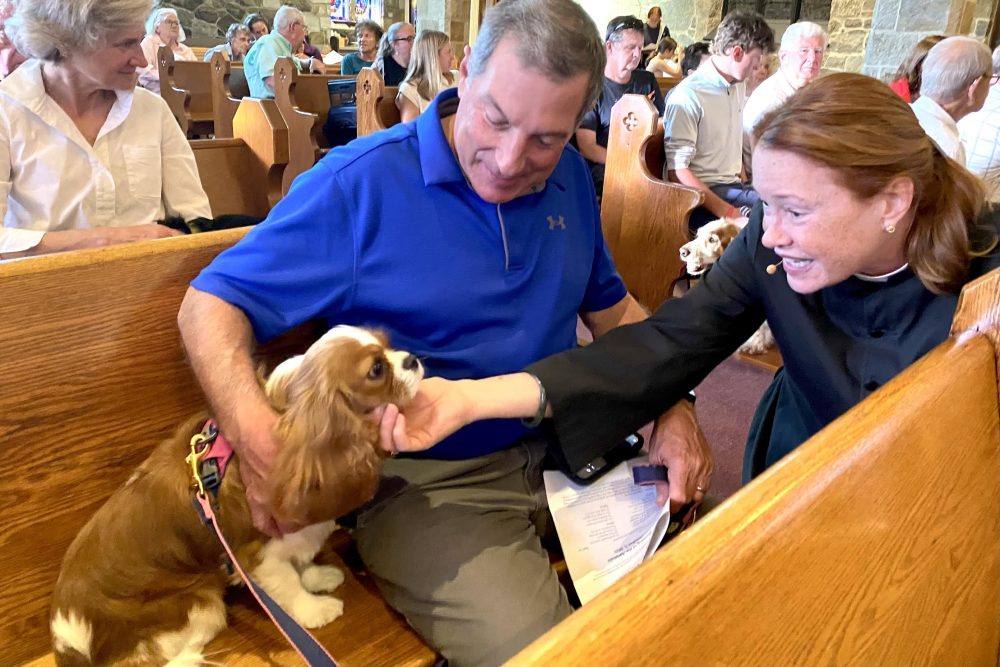 Blessing of the Animals, Wellesley