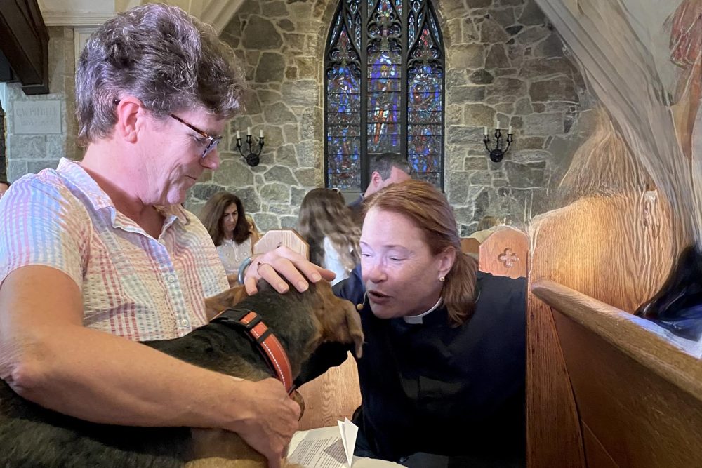 Blessing of the Animals, Wellesley