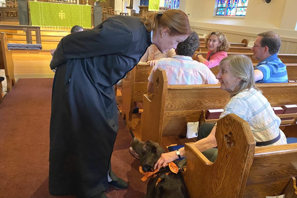 Blessing of the Animals, Wellesley
