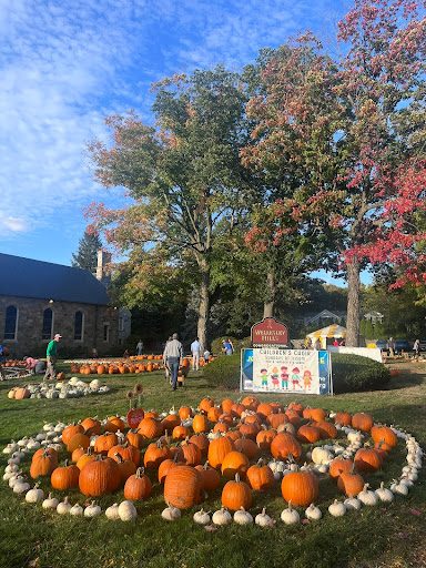 Wellesley Hills pumpkin patch