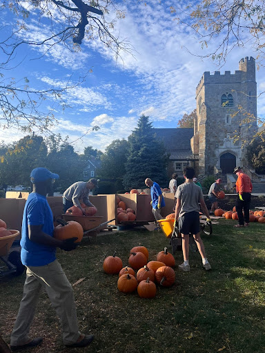 Wellesley Hills pumpkin patch