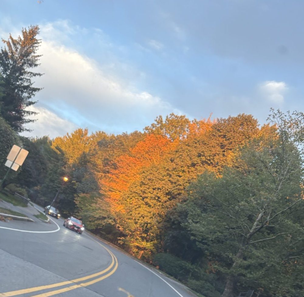 Wellesley Ave fall