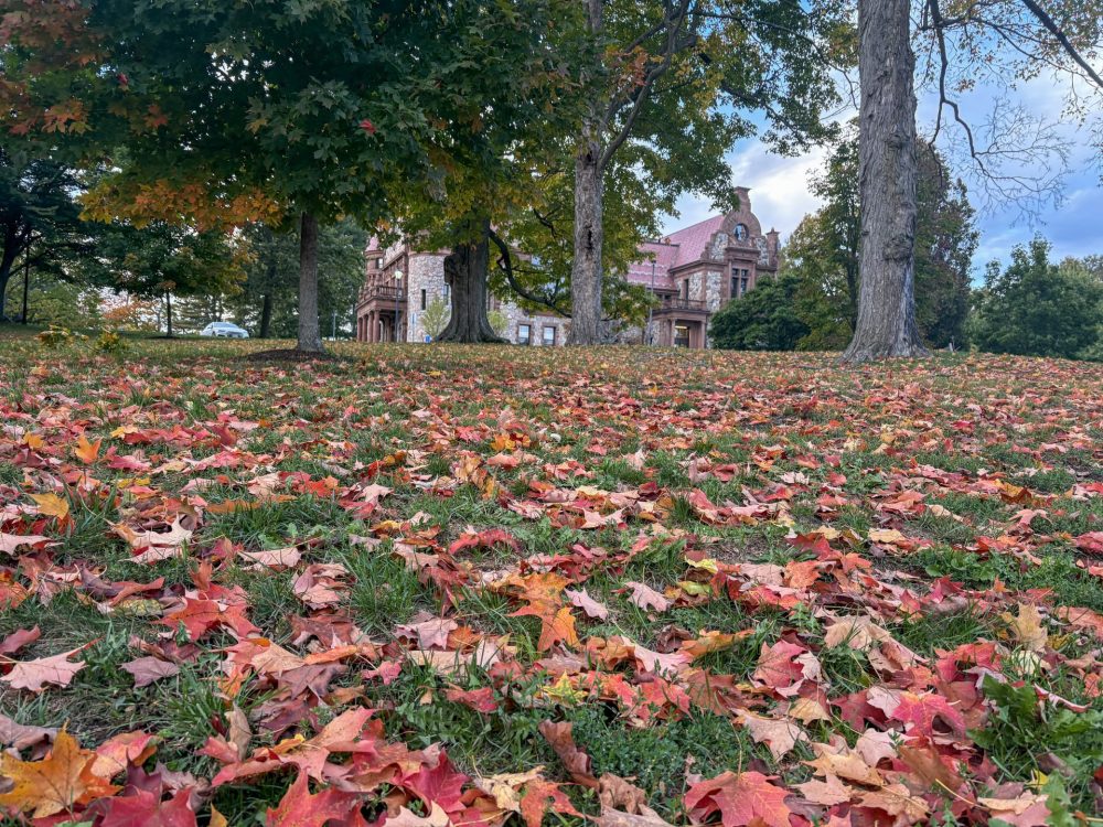 wellesley town hall fall