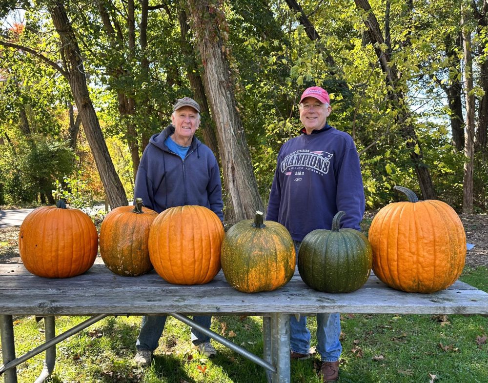 brookside pumpkins