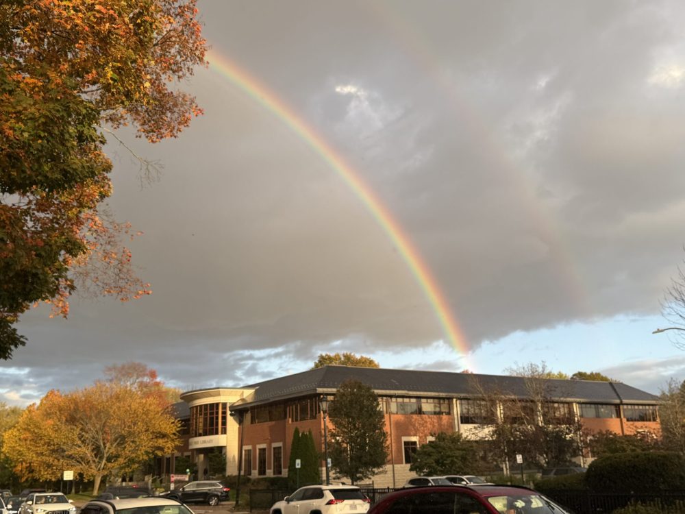wellesley library rainbow