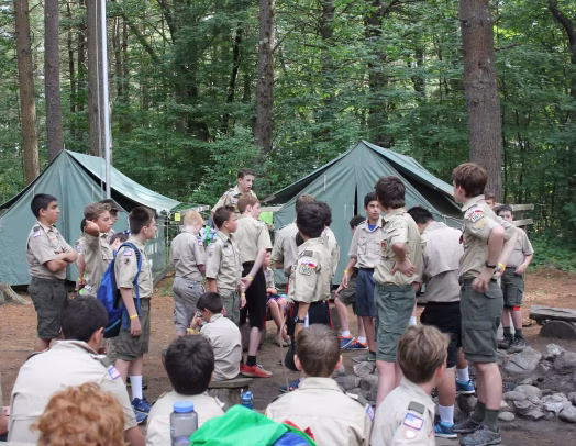 Wellesley scouts