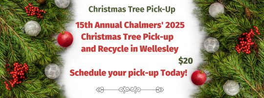 Christmas Tree pick up, Chalmers