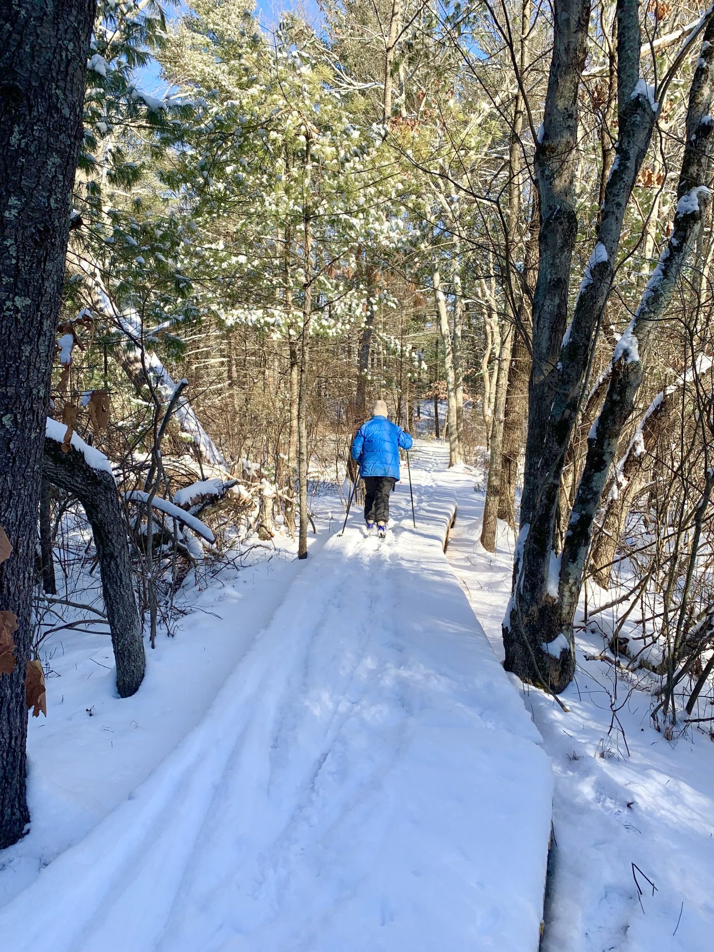Wellesley Conservation Land Trust, Guernsey Sanctuary, skier, winter 2025