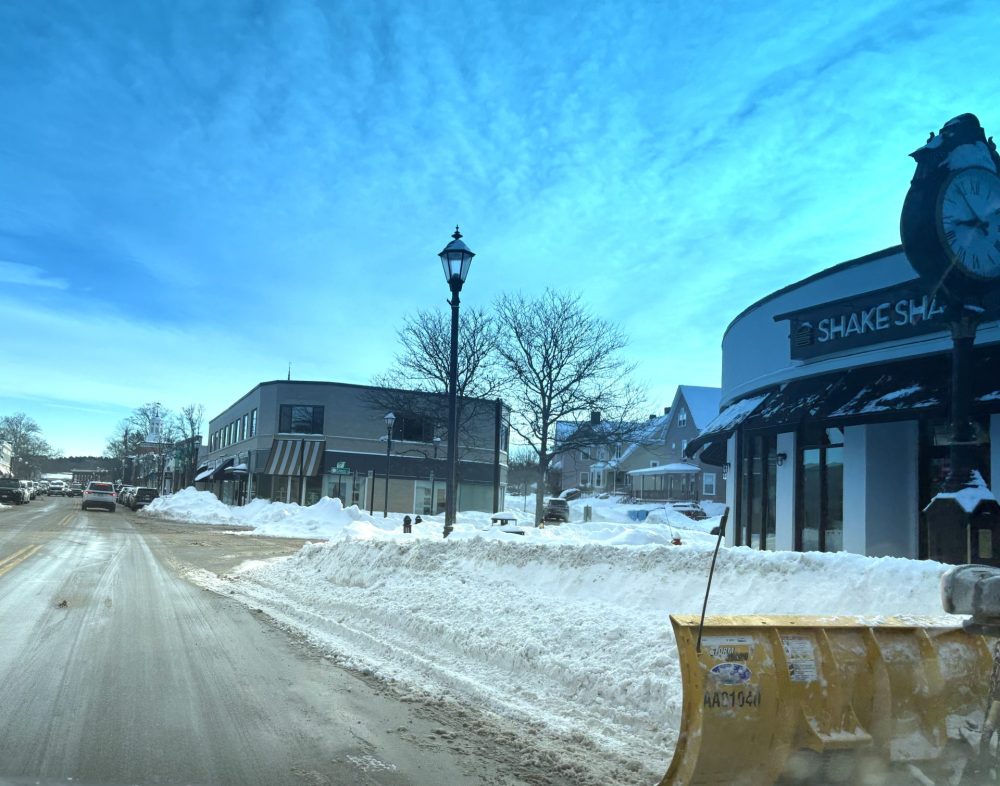 Wellesley snowstorm