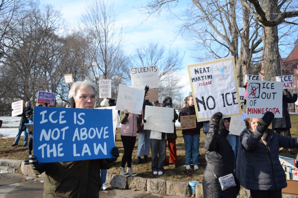 Anti-ICE rally