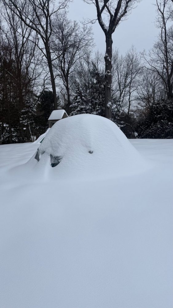 Igloo from big snowstorm 