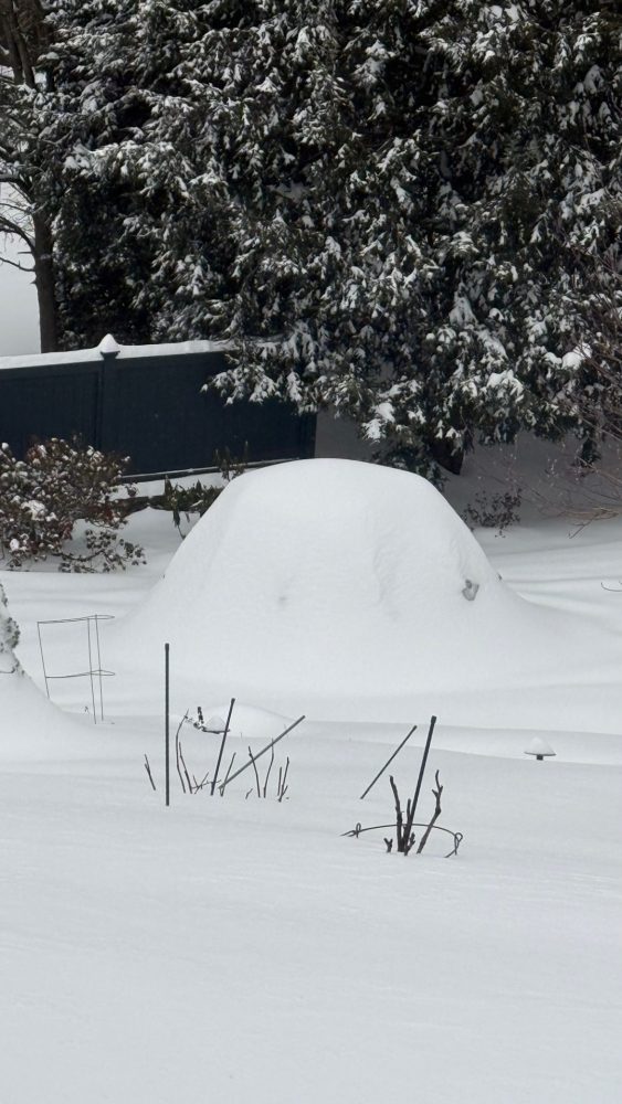 Igloo from big snowstorm 