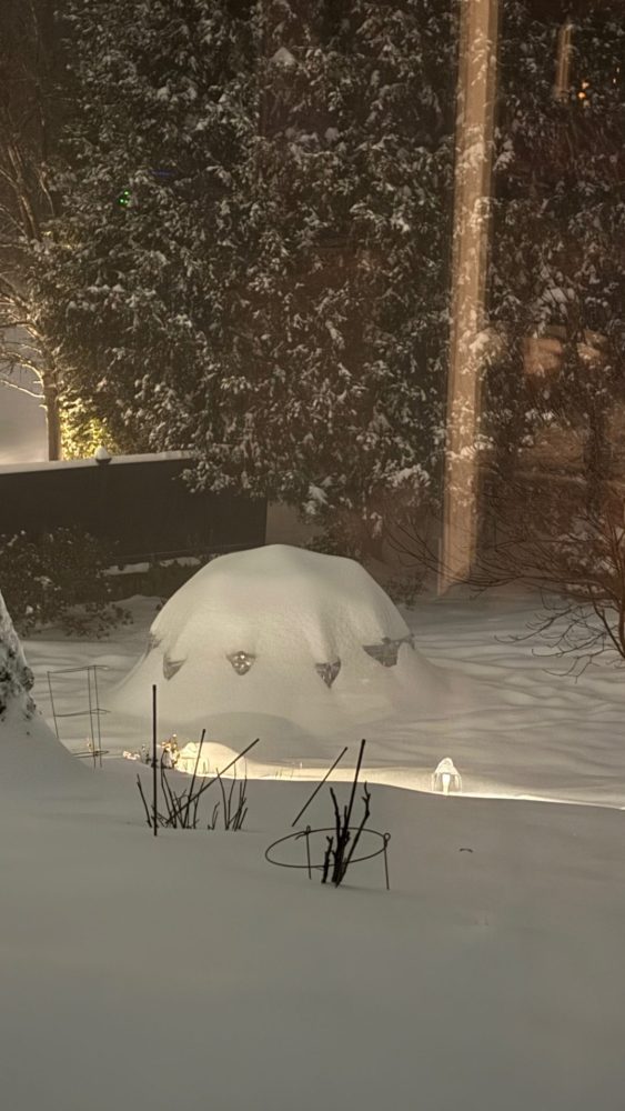 Igloo from big snowstorm 