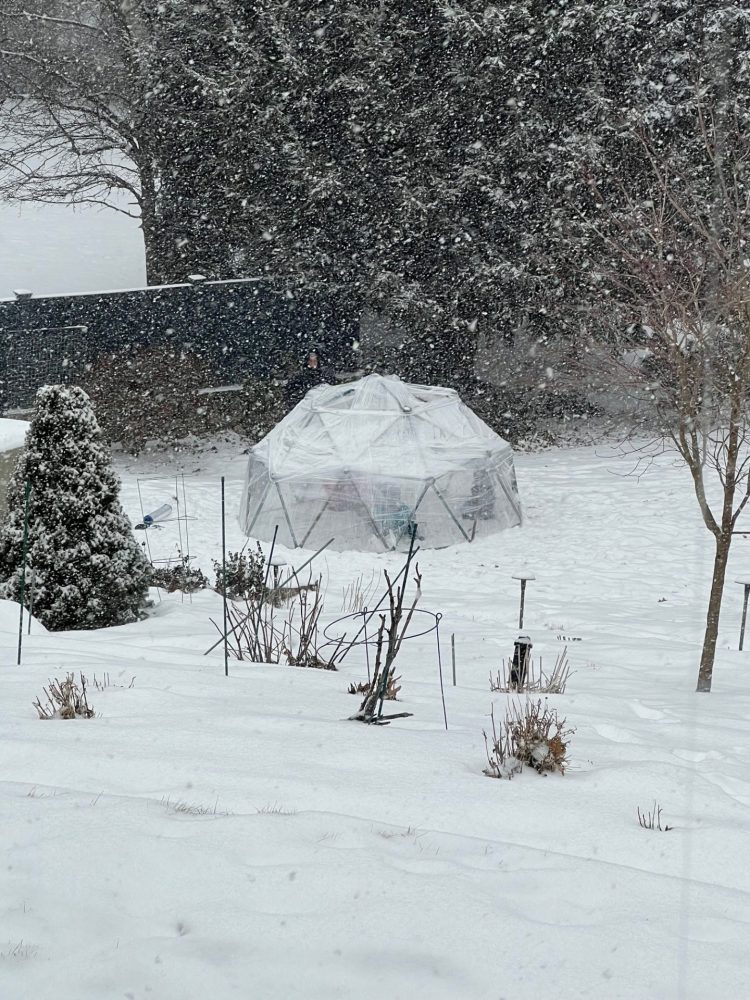 Igloo from big snowstorm 