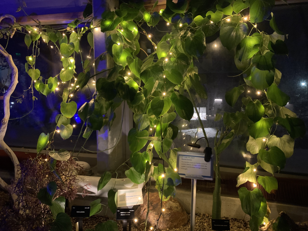 Wellesley College Botanic Gardens