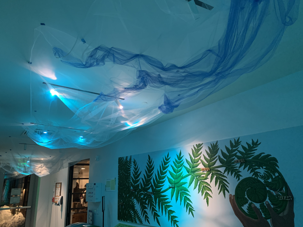 Wellesley College Botanic Gardens