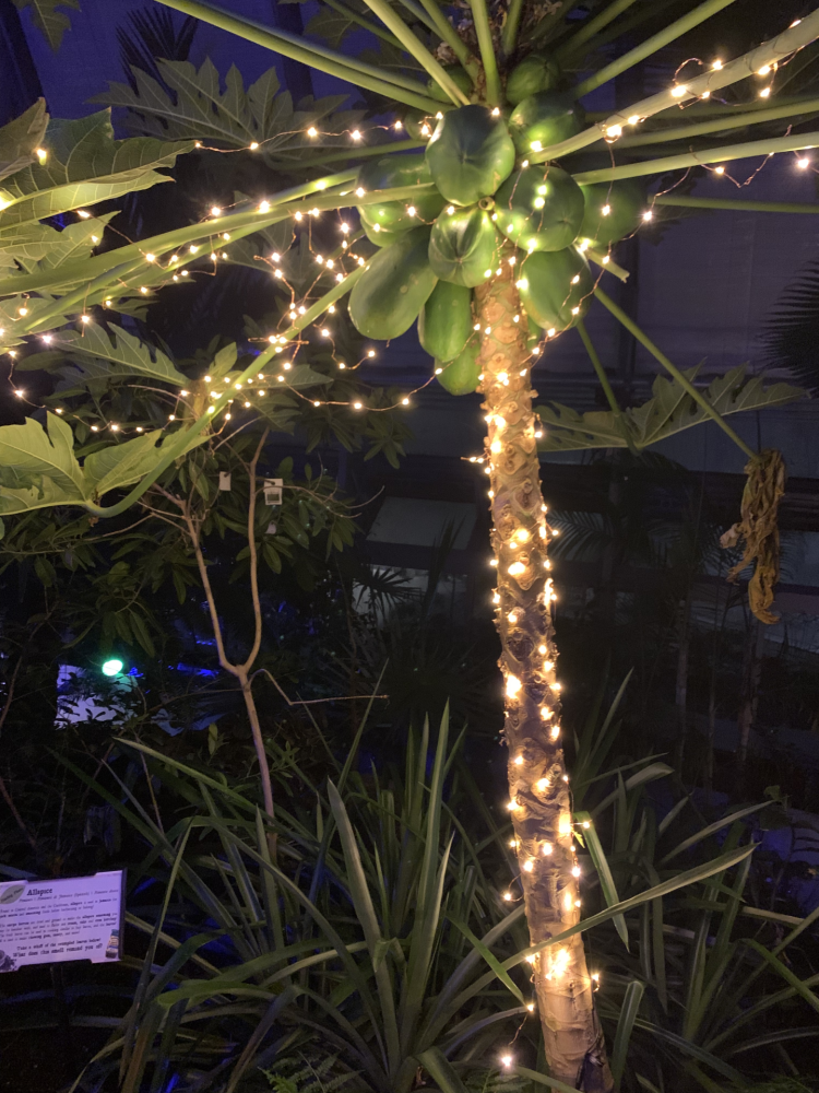 Wellesley College Botanic Gardens