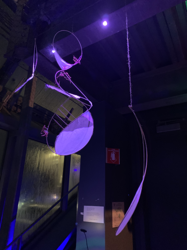 Wellesley College Botanic Gardens