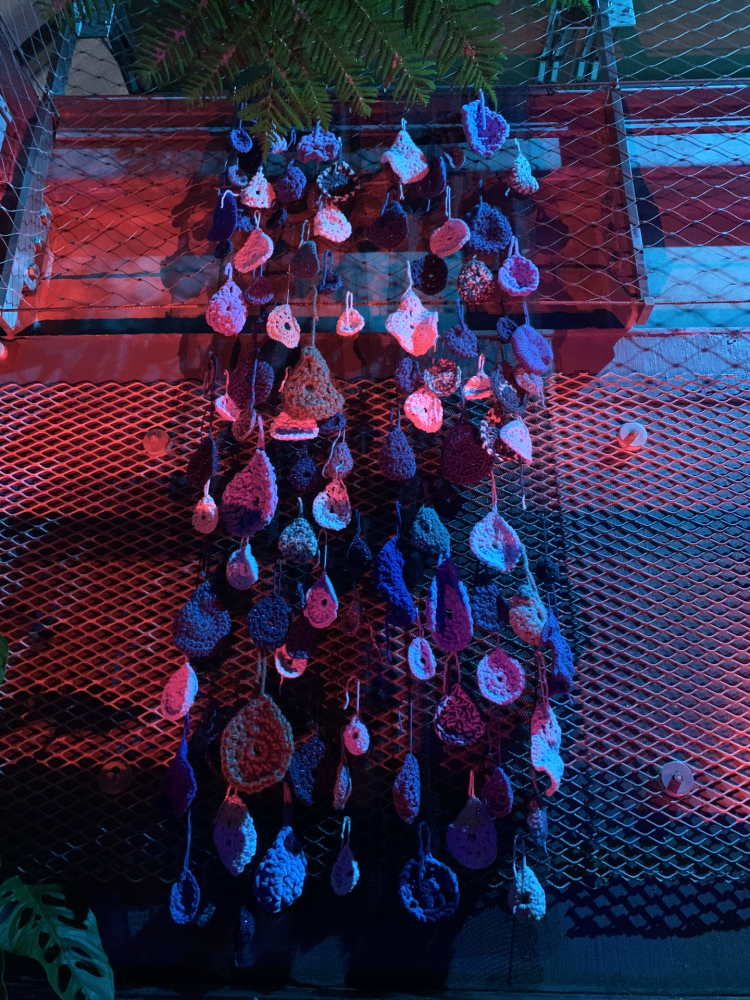 Wellesley College Botanic Gardens