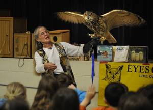 Eyes on Owls, Wellesley