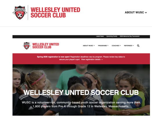 wellesley youth soccer