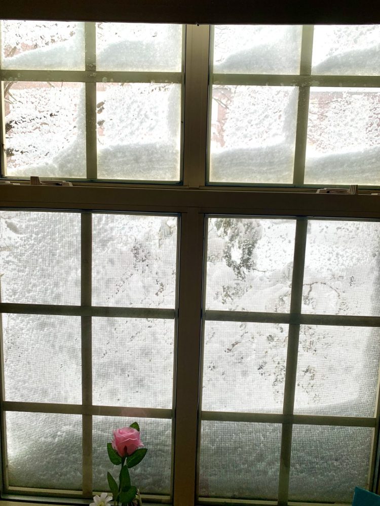 blizzard at Wellesley College