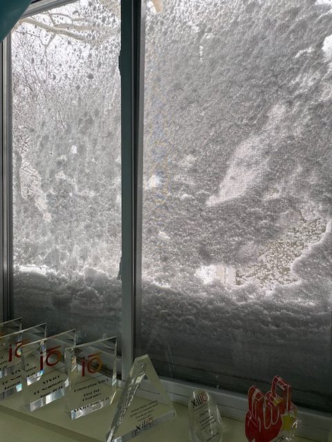 Looking out at the blizzard (photo courtesy of Jill Fischmann)