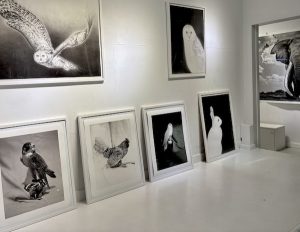 Beth Urdang Gallery, Wellesley