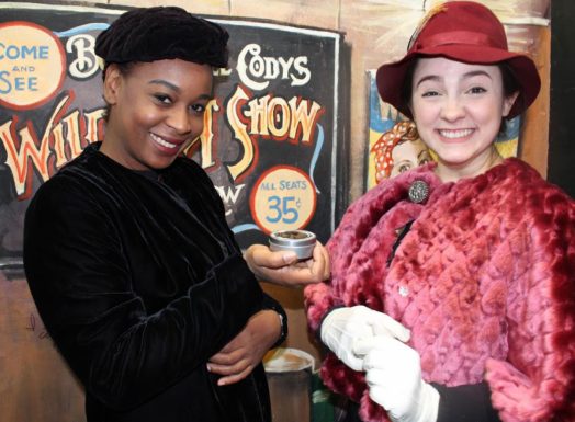 Wellesley Free Library, performance