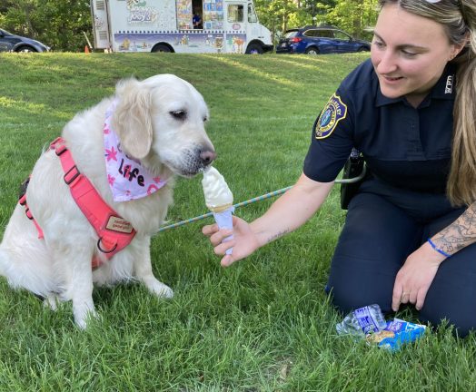 Wellesley Rotary, Pups in the Park